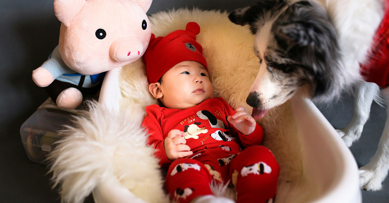 Newborn items don't actually need to buy