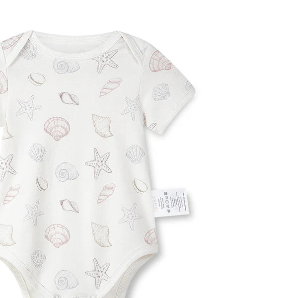 Organic Cotton Half Sleeves Snap Bodysuit + Essentials Shorts- Shell