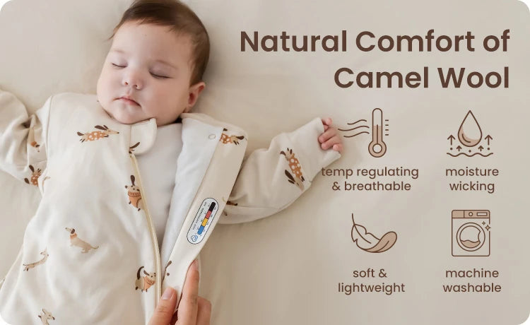 Why Camel Wool