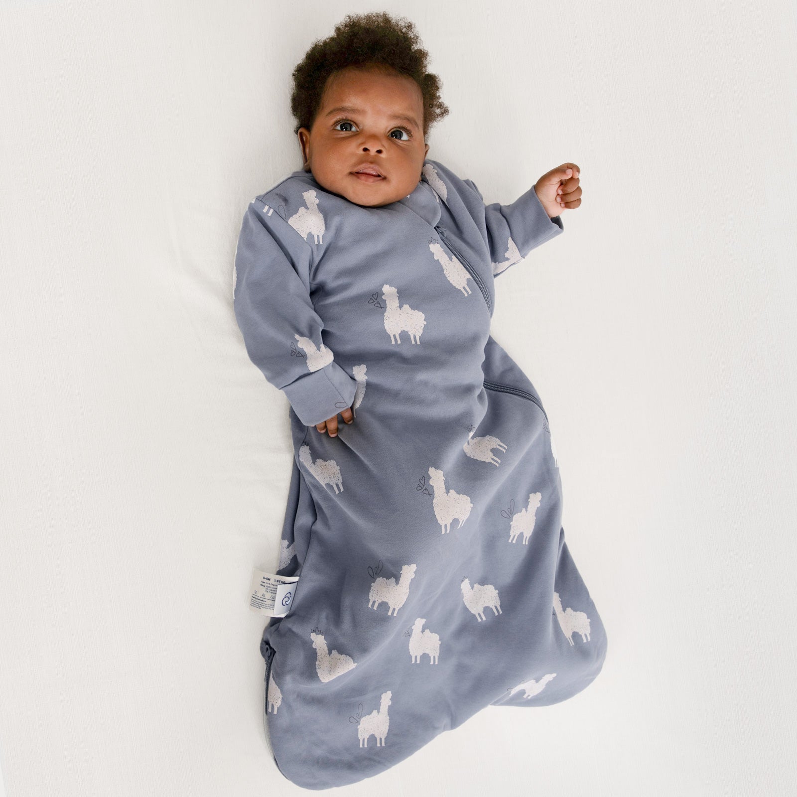 All Season Long Sleeve Sleep Sack 1.0 TOG - Organic Cotton & Camel Wool - Camel Blue boy Image