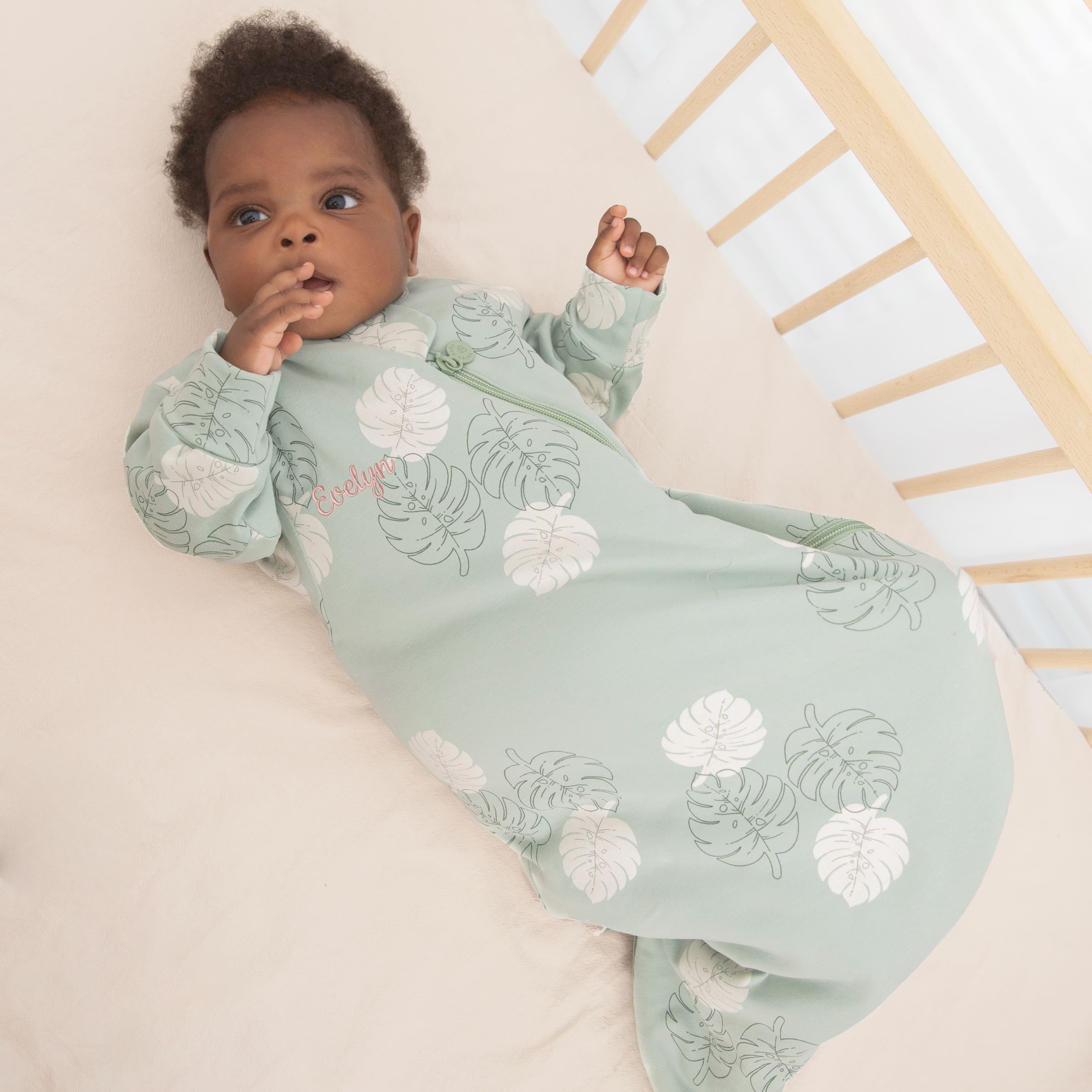 All Season Long Sleeve Sleep Sack 1.0 TOG - Organic Cotton & Camel Wool - Monstera boy image