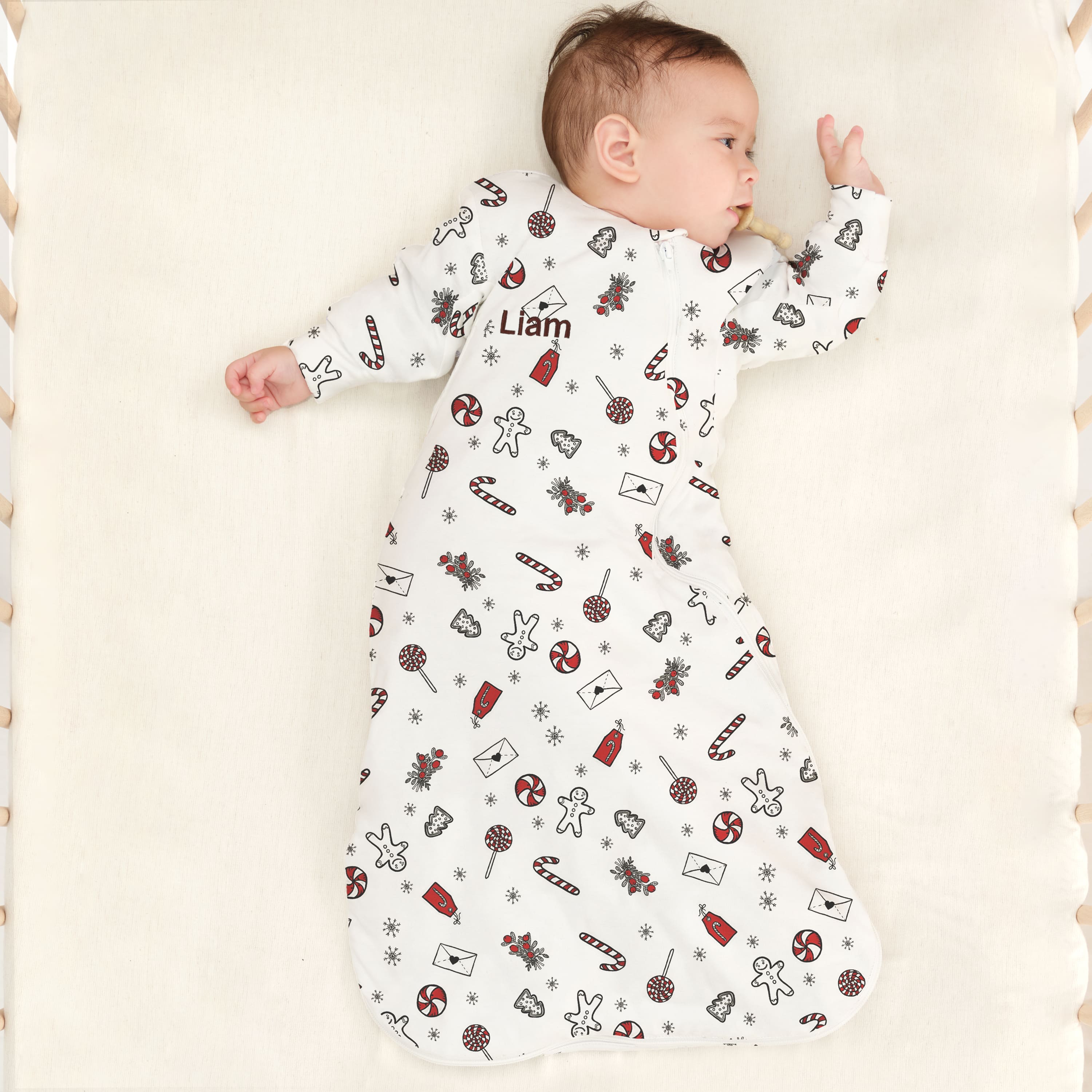 Organic Cotton & Camel Wool Warm Long Sleeve Sleep Sack Walker 2.5 TOG - Sweet Holiday boy