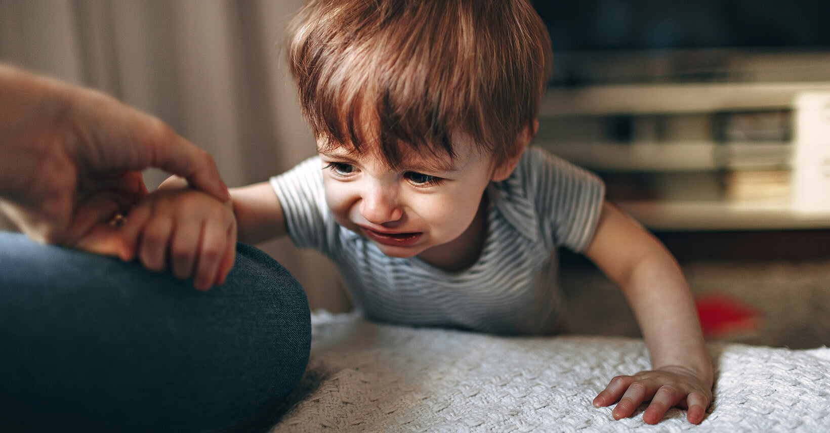 night terrors in toddlers