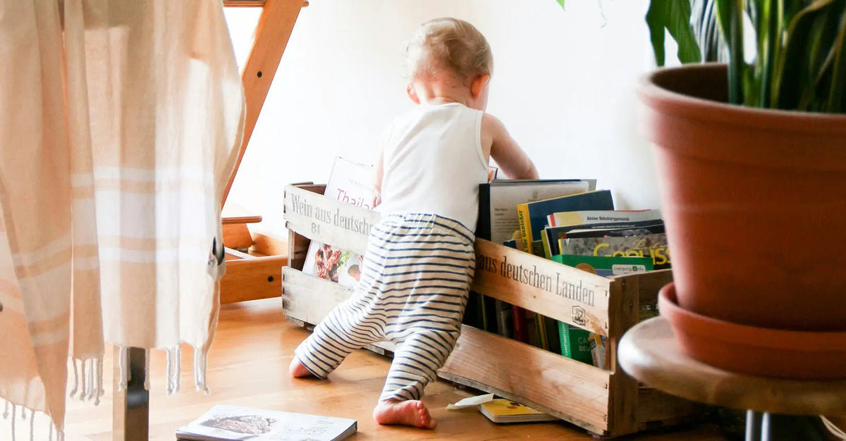 How to get a safe clean home environment?