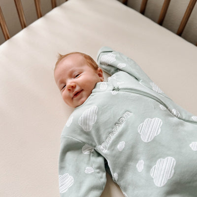 All Season Long Sleeve Sleep Sack 1.0 TOG - Organic Cotton & Camel Wool - Green Sky