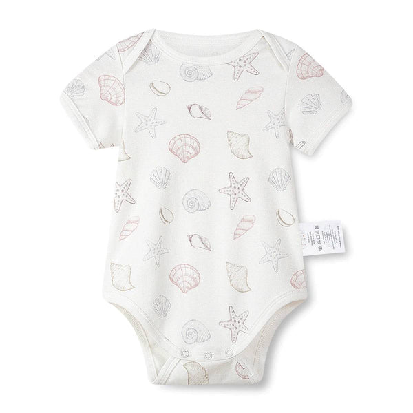 Organic Cotton Half Sleeves Snap Bodysuit + Essentials Shorts- Shell