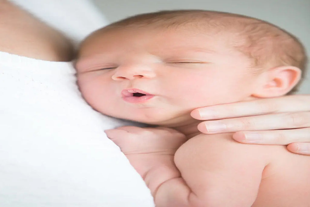 Portrait Cute Newborn Hold Mother's Breast
