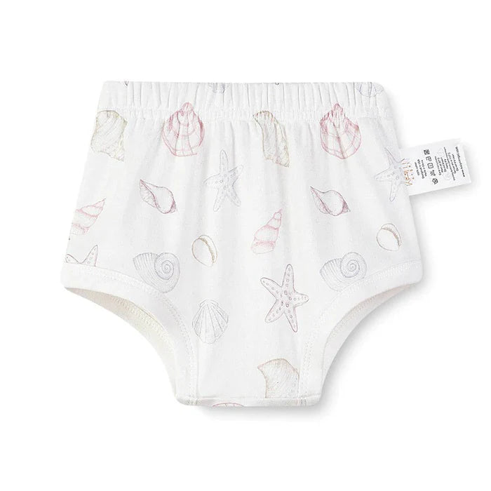 Organic Cotton Half Sleeves Snap Bodysuit + Essentials Shorts- Shell