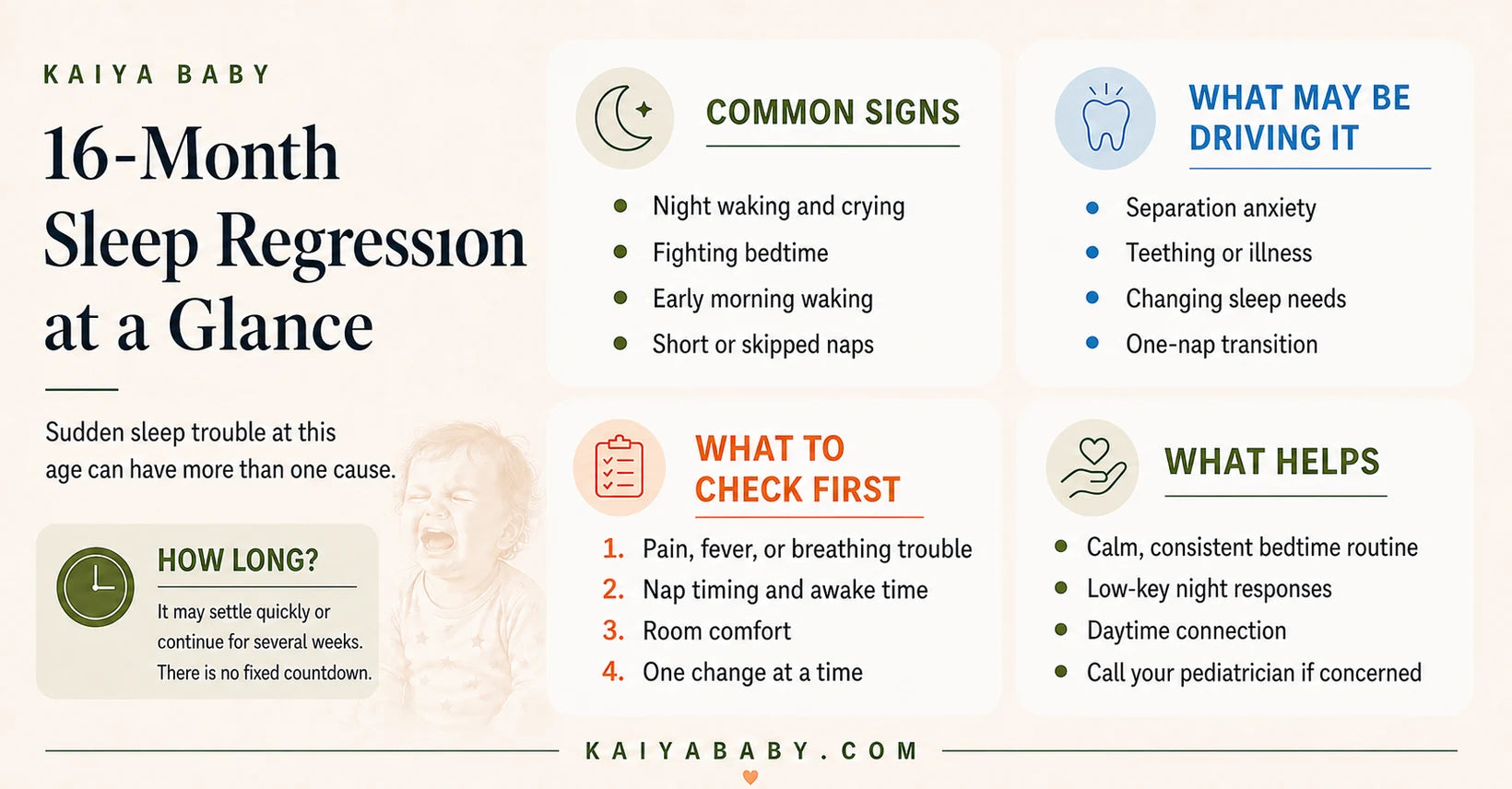 16 Month Sleep Regression: Signs, Causes & What Helps